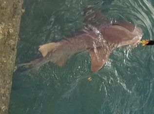 1803 N Riverside Dr, Pompano Beach, FL 33062