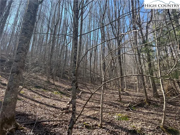 TBD Hart Road, Lansing, NC 28643