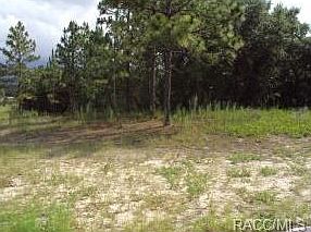 1st image of 3301 N Buckhorn Dr