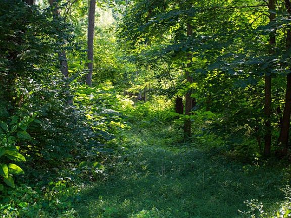 2nd image of 0 E River Rd