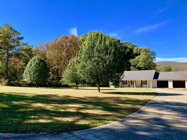 Gorgeous Fall colors coming!