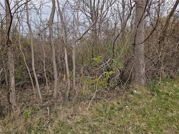 6193 River Rd, Madison, OH 44057