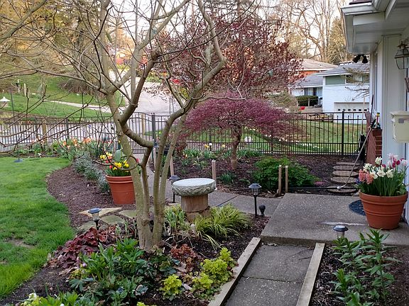Landscaped Front yard