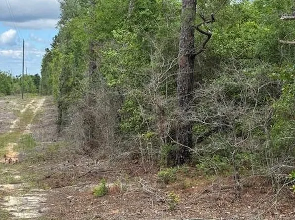 Pilgrim Rest Church Rd, Marianna, FL 32448