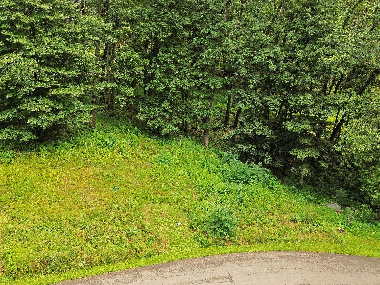 Washington Way LOT 204