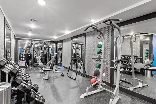 Rented by Douglas Elliman | media 18