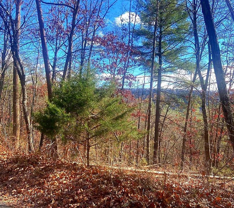 1st image of Spitz Ln