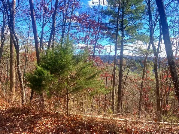 Spitz Ln, Basye, VA 22810