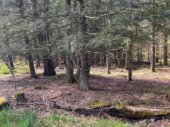 93 Pine Grove Rd, Newfoundland, PA 18445