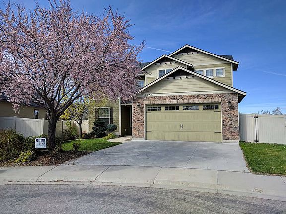 Spring Flowering Tree