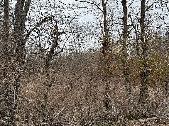 2nd image of LOT 1 Pecan Rd