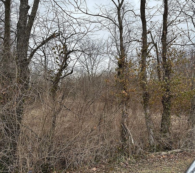 2nd image of LOT 1 Pecan Rd