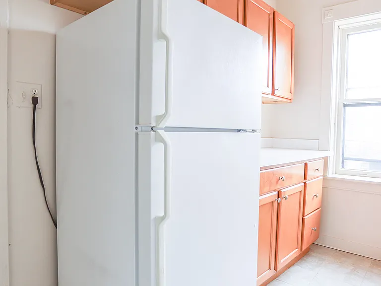 1535 W Cornelia Ave #1 — Photo 5