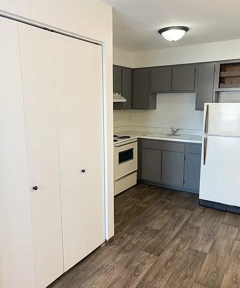 View of kitchen and kitchen pantry.