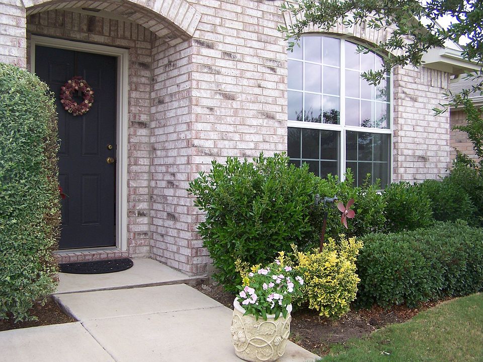 Front door - welcome!