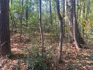5th image of 0 Ryman Ridge Rd