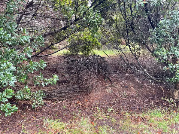 LOT 51 Lot 51, Volcano, HI 96785