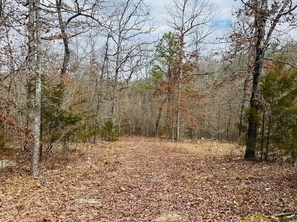 13A Boone Trl, Calico Rock, AR 72519