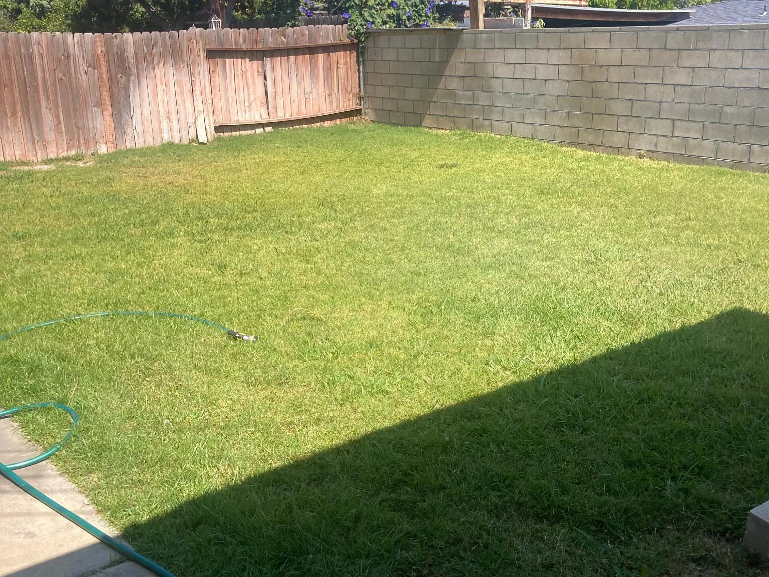 3 bed, 1263 sqft, $4,000 — Photo 2
