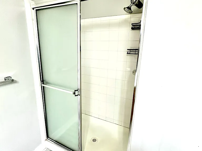 Master Bath Shower