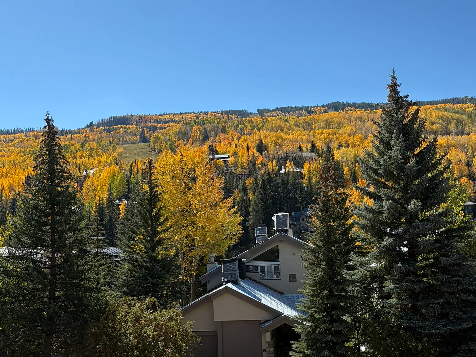 2 bed, 960 sqft, $12,000 — Photo 1