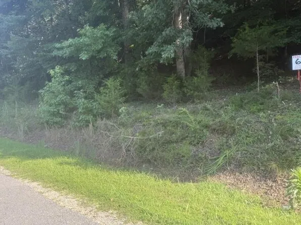 Tracts 5 6 Carroll Hollow Rd Lot 5-6, Waynesboro, TN 38485