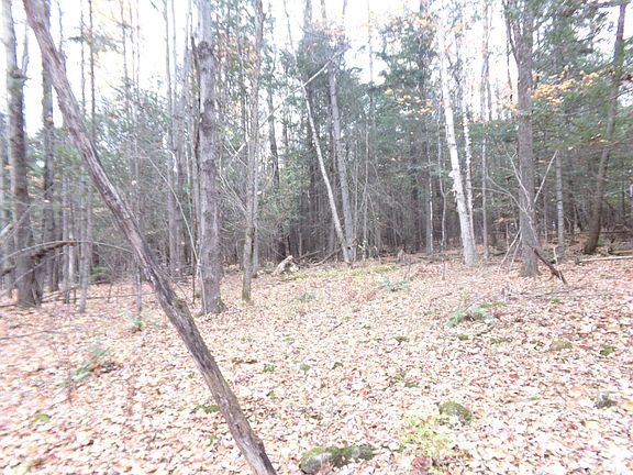 5th image of 0 Maple Hill Road