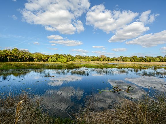 3rd image of 11042 Sandhill Preserve Dr