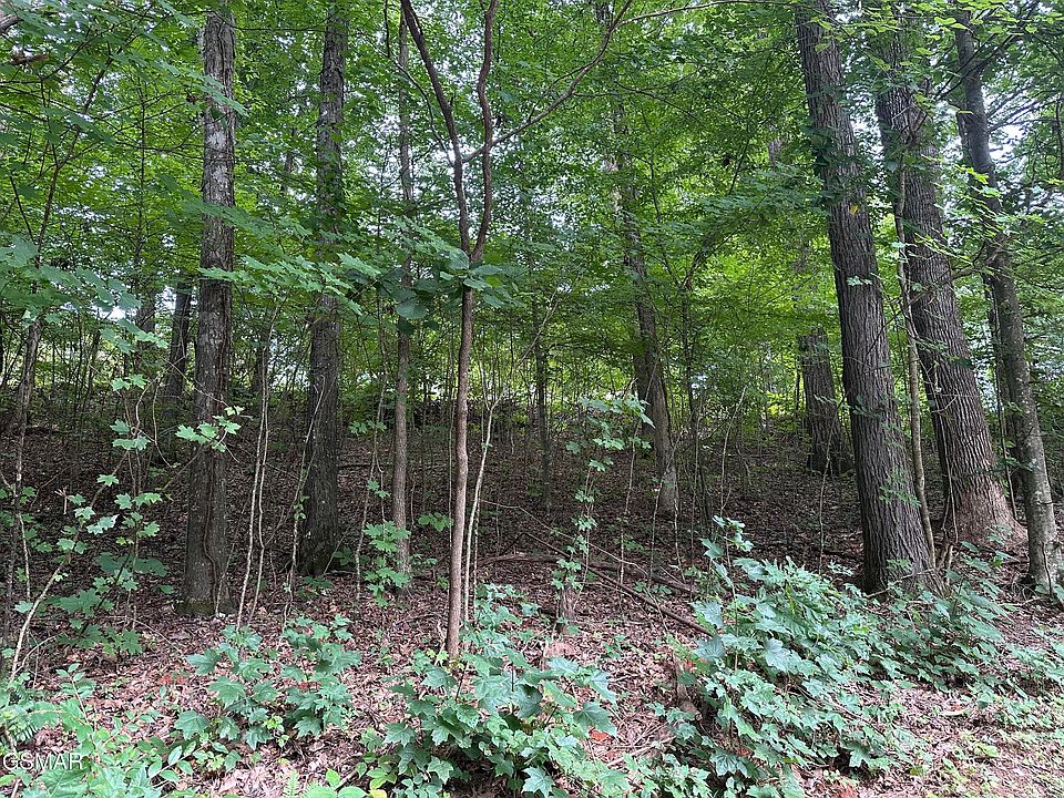 2nd image of 75 Highpoint Dr