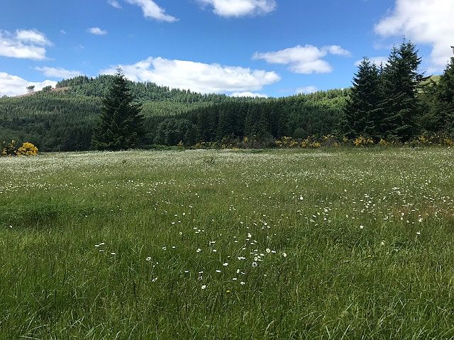 Expansive territorial views