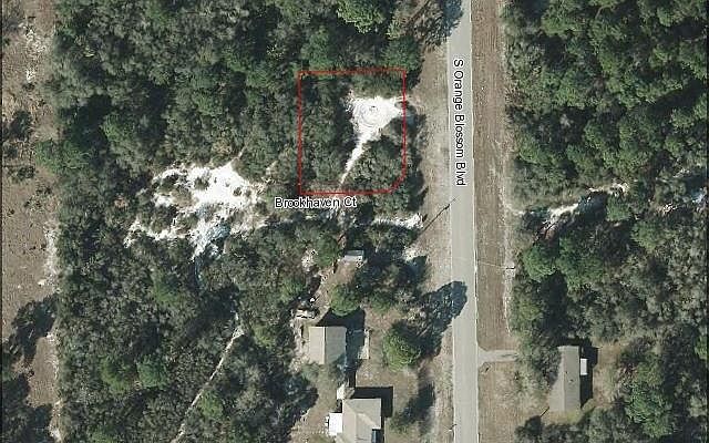 2nd image of 9847 S Orange Blossom Blvd