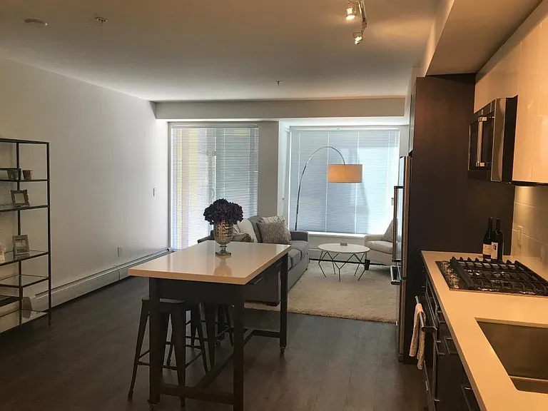 384 E 1st Ave #404 — Photo 3