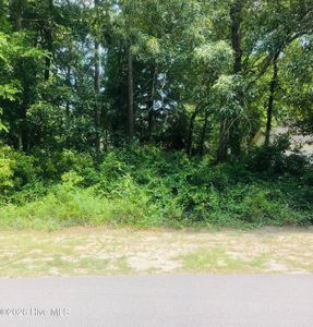 124 Bayshore Drive LOT 8, Sneads Ferry, NC, 28460