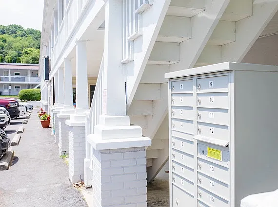 1 bed, $850 — Photo 2