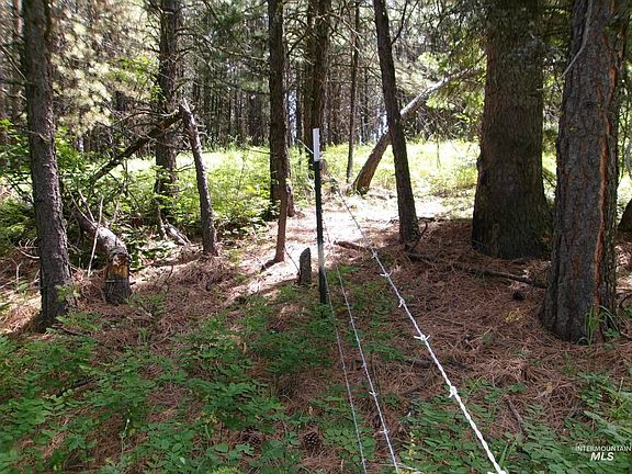 5th image of Jack Pine Rd