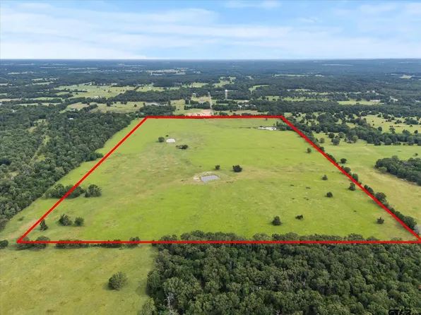 0 County Road 4607, Ben Wheeler, TX 75754