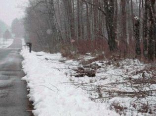 On Lake Winter Rd, Winter, WI 54896