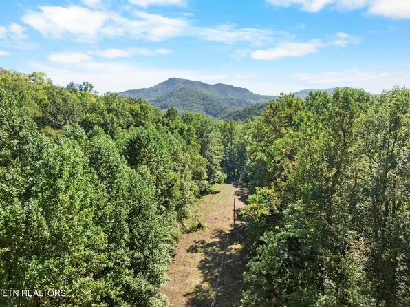 33 S Highway 32, Cosby, TN 37722