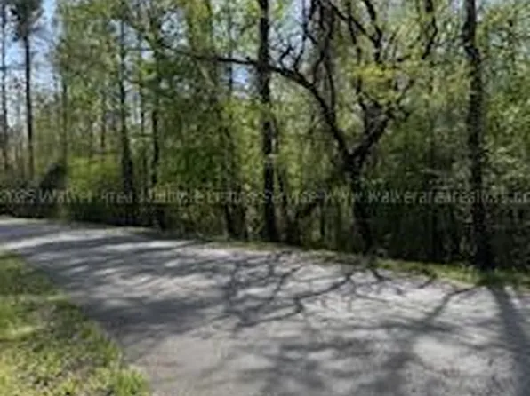 0 Slick Lizzard Rd, Nauvoo, AL 35578