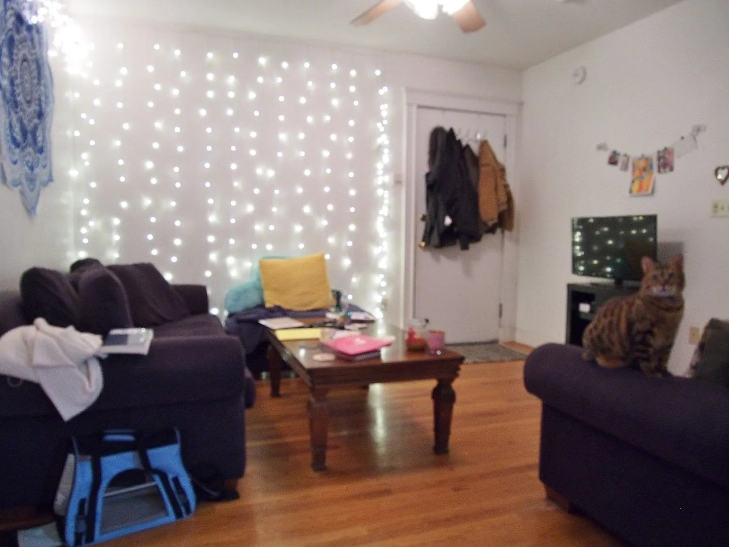 Brighton 4 Bed/2 Bath Available 9/1 ~ Ht/Hw Included, Green Line Access — Photo 2