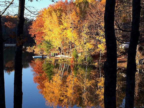 Rennie Lake View From Deck