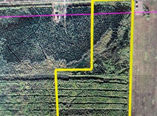 Nhn Hanson Rd, Delta Junction, AK 99737