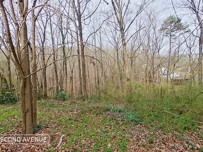 5764 Desoto Dr — Photo 13