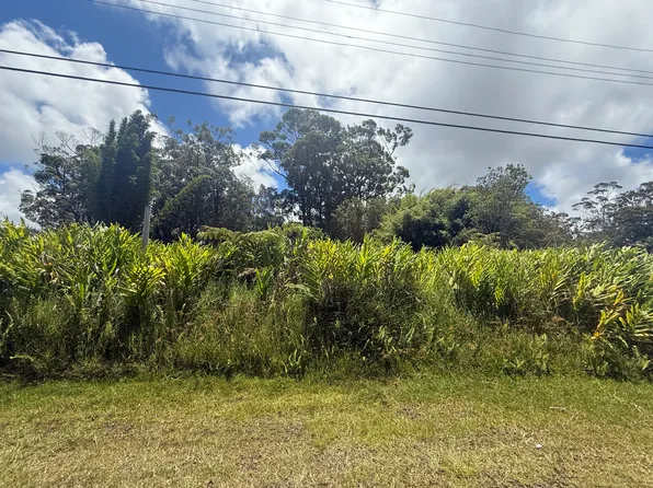 18-1975 Ohia Nani Rd Lot 8, Volcano, HI 96785