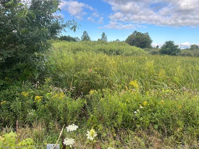 0 Wildcat Rd, Jeddo, MI, 48032