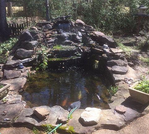 Koi pond w/waterfall
