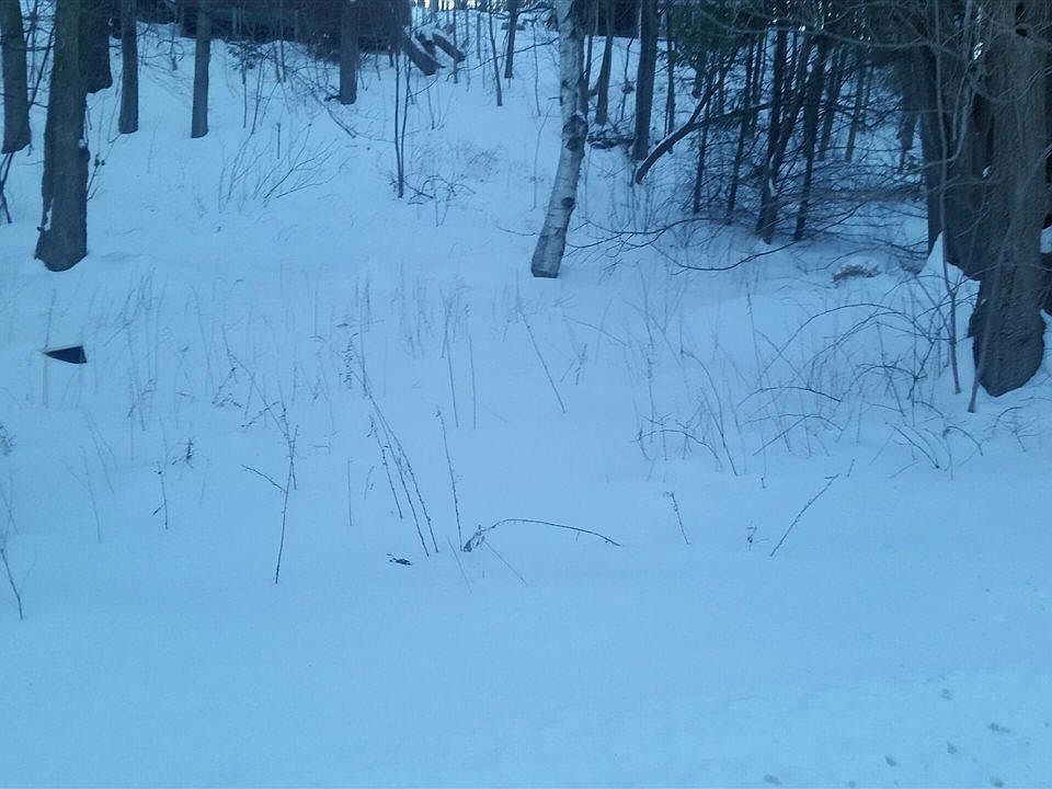 1st image of 11 Leslie Ave