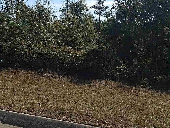 5th image of 6115 Ashton Woods Cir