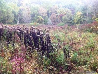 Lot # 4 Biers Rd, Out of Area Town, NY, 12046