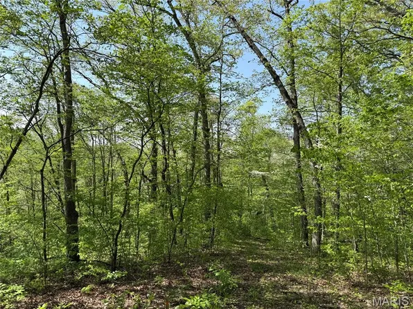 1 Summit Ln, Hermann, MO 65041